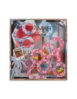 Набор колориста Framar Baecation Colorist Kit 1+3+3+2 шт 96013
