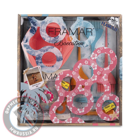 Набор колориста Framar Baecation Colorist Kit 1+3+3+2 шт 96013